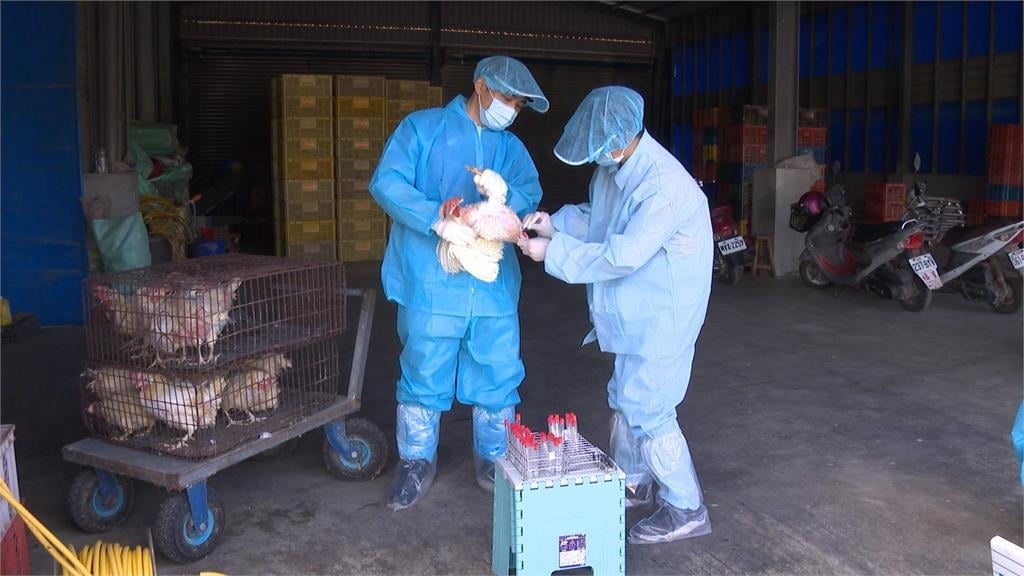 異言堂/毛孩夯「這類」獸醫竟喊缺:永遠補不滿 食安恐陷風險