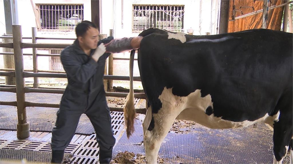 異言堂/毛孩夯「這類」獸醫竟喊缺:永遠補不滿 食安恐陷風險