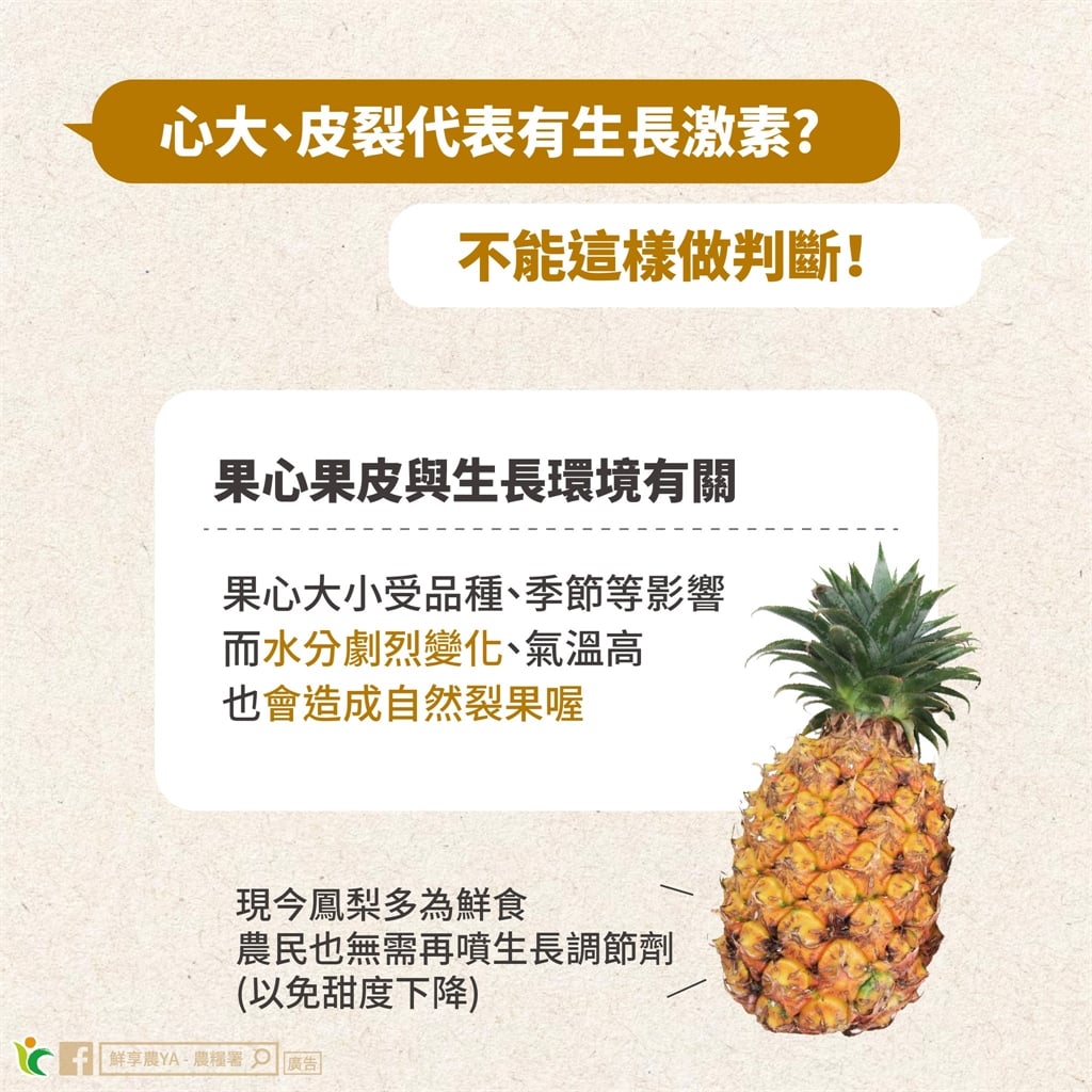 鳳梨配芒果吃會出問題？農糧署闢謠3迷思：放越久越甜其實是1比例變了
