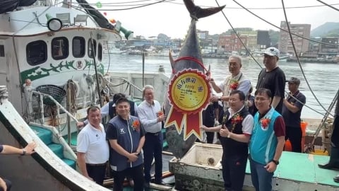 蘇澳第一鮪拍賣　重達２７６公斤拍出近２百萬元