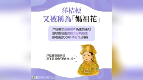 台灣五大外銷花「洋桔梗」產季登場！產地與美麗秘密解析