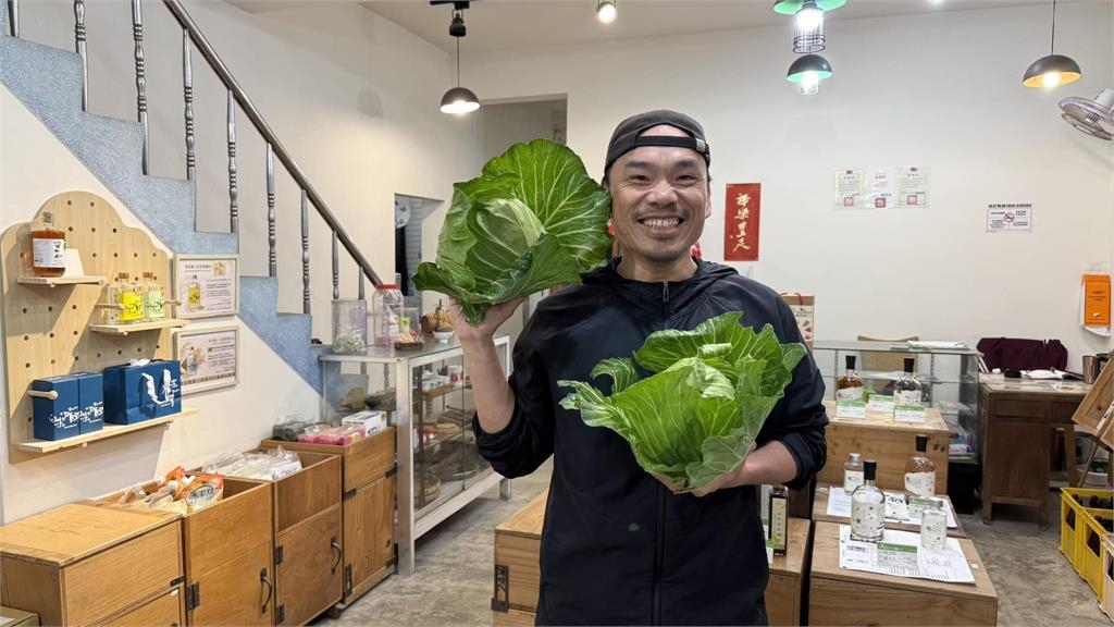 他在陽明山驚見「野生孔雀」秒發文！網挖「版主真實身分」愣住：白米炸彈客？