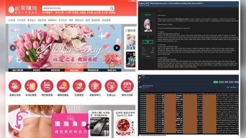 獨家／電商平台又被駭？台灣2業者遭點名80萬筆會員網購資料外洩