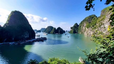 越南旅遊夯爆！客源國排名曝光「最大黑馬超意外」　1關鍵讓人一去上癮