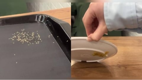 新北永和「世界豆漿大王」驚見托盤長大量蛆　消費者超崩潰：乾嘔一天