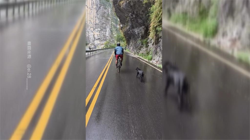 加拿大夫妻單車環台黑狗一路跟　跨國認養成功收編取名「太魯閣」