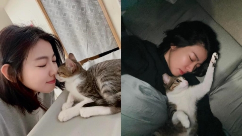 猴硐4貓「臉遭噴辣椒水」全網怒揪凶手！米可白火大開轟：能不能不要傷害