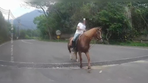 馬匹馬兒路上跑 騎士險遭馬飛踹 驚險一瞬間