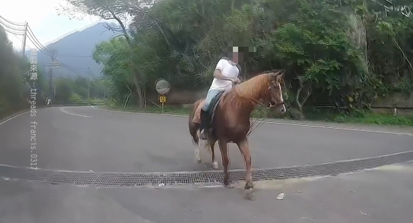 驚險!南庄山區驚見馬匹路上跑 騎士險遭飛踹