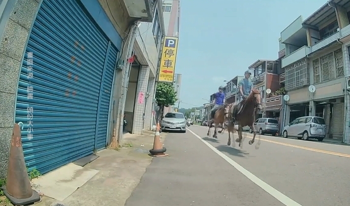 驚險!南庄山區驚見馬匹路上跑 騎士險遭飛踹