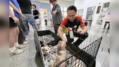 成功爭取「樂陪犬」政策 林智鴻:幫助收容犬訓練轉型多元運用