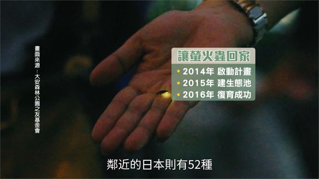 音樂點亮夜空!大安森林公園螢火蟲季10週年 簡文秀.三金歌王殷正洋同台飆唱