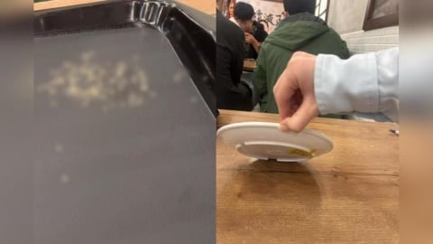 噁!永和豆漿名店吃宵夜竟遇「這東西」在爬 新北衛生局說話了