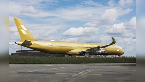 星宇航空聯名金色塗裝機曝光 預計第3季投入載客