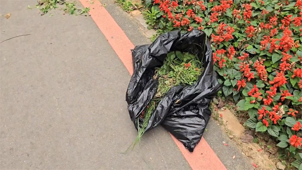 新竹18尖山賞枯花?整片花叢爛光 市府:強降雨所致