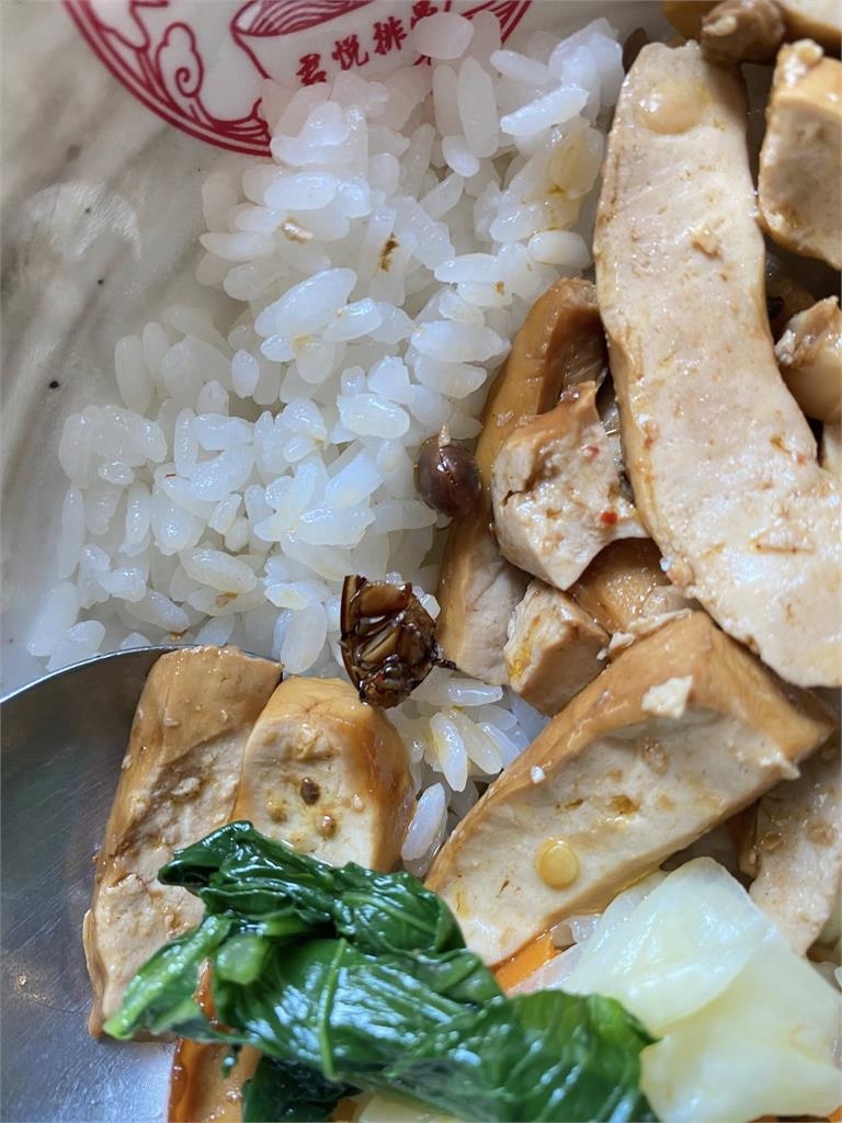 君悅排骨被爆飯菜驚現「蟑螂頭」 反映竟回「換一碗」當事人批冷處理