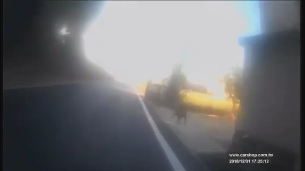 彰化猛犬追人！孕婦嚇到險摔車　曝至少被追十次