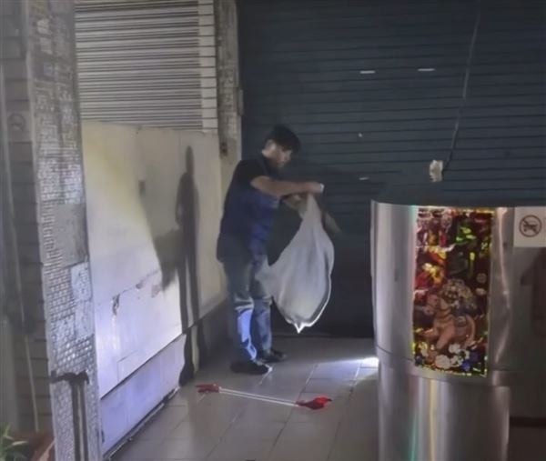 眼鏡蛇突竄路中央嚇壞騎士…急煞釀追撞　網笑：牠忘記戴眼鏡出門走錯