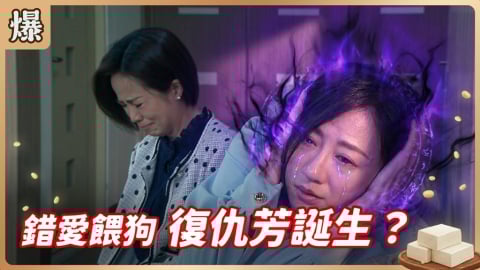 《豆腐媽媽-EP80精彩片段》錯愛餵狗 復仇芳誕生?