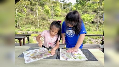 阿里山腳下親子賞螢熱點　美食×體驗×夜間生態一次玩