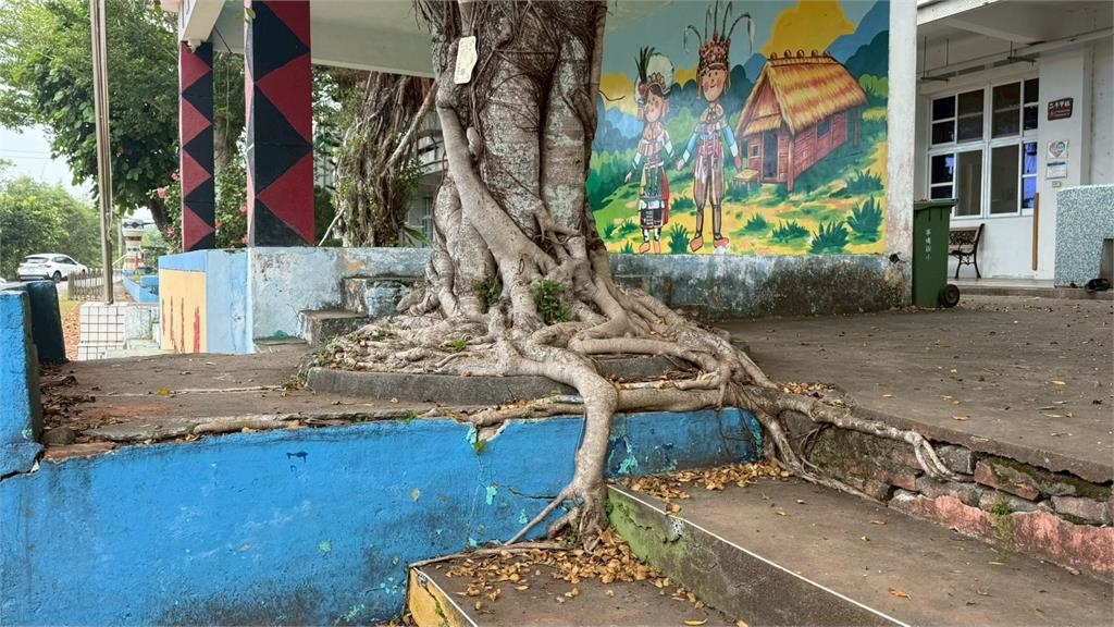 保障運動安全 陳瑩爭取千萬為小學打造標準PU跑道