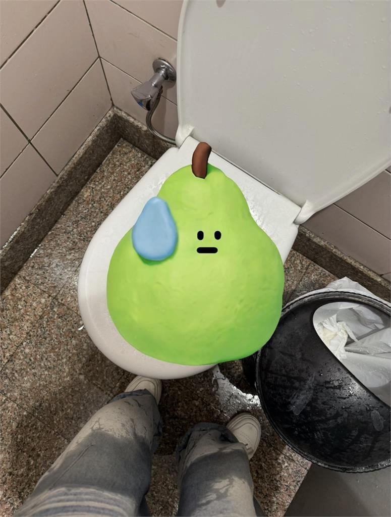 誤踩埃及機場廁所「神秘藍色按鈕」秒變落湯雞　真實用途曝光