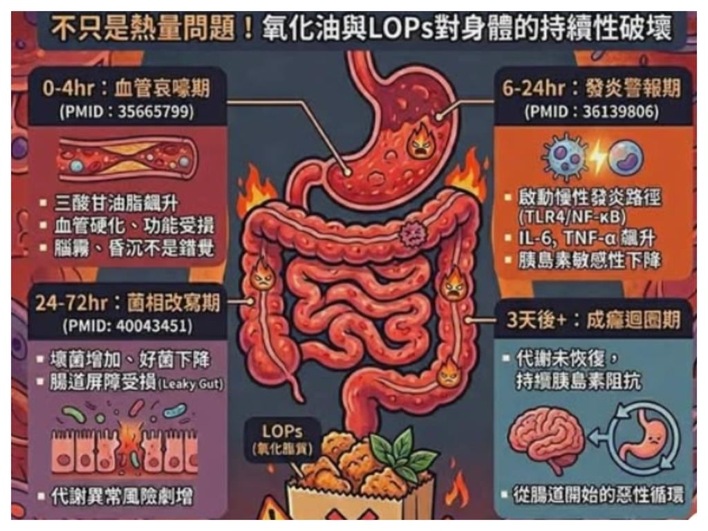 吃鹹酥雞代謝壞3天！醫師揭露：這72小時身體只忙著做「這件事」