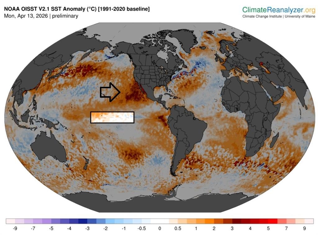 聖嬰訊號轉強「監測海域」由冷轉暖！專家預估年底恐發展「超強現象」