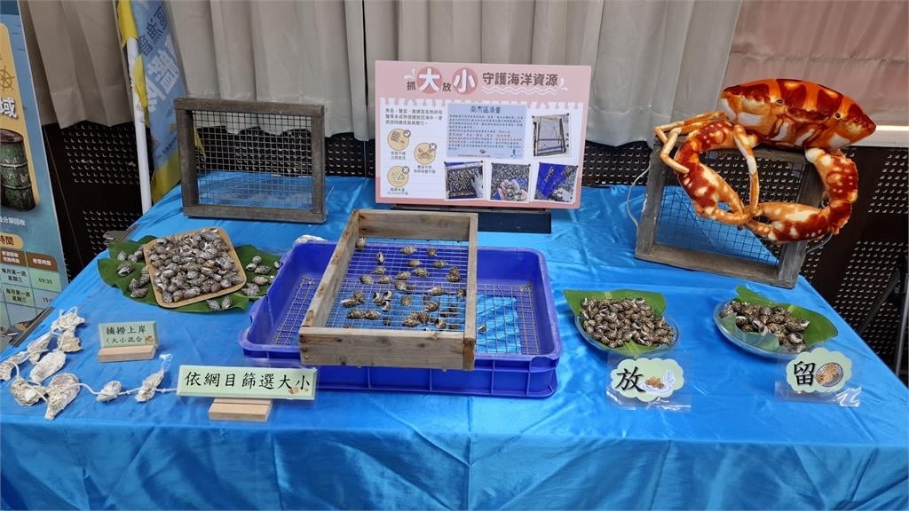 快新聞／台南海域回春？蚵棚不只養殖　白海豚現蹤震撼漁民