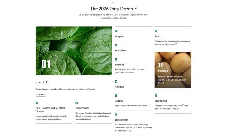 美最髒蔬果新名單出爐 PFAS農藥殘留成焦點!醫:洗蔬果1原因用清水更好