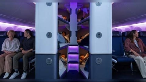 經濟艙也能躺平！紐西蘭航空推「付費睡眠艙」　每4小時要價1.5萬