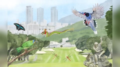 高爾夫球場竟是永續解方！國華啟動綠色高球元年 攜中興大學柳婉郁教授揭淺山綠色奇蹟