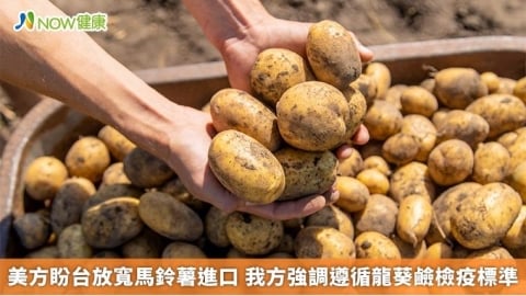 美方盼台放寬馬鈴薯進口 我方強調遵循龍葵鹼檢疫標準