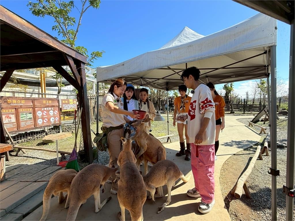 楊繡惠覺得很軟、首次體驗觸摸袋鼠蛋蛋的金娜妍更當場驚呼「真的很大！」讓全場笑翻