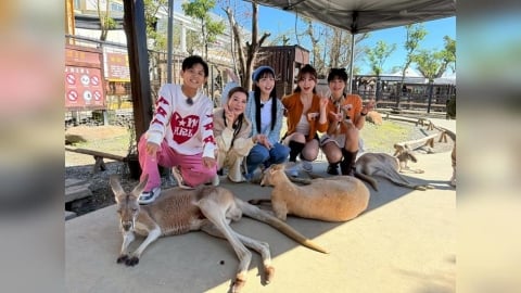 楊繡惠覺得很軟、首次體驗觸摸袋鼠蛋蛋的金娜妍更當場驚呼「真的很大！」讓全場笑翻