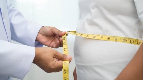 內臟脂肪過高「讓人變笨」？  研究示警：泡芙人族群最危險，大腦恐受到7種損害