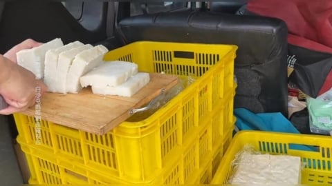 醫護團不只救人也救「鞋」　動容！輪椅大軍與媽祖同行