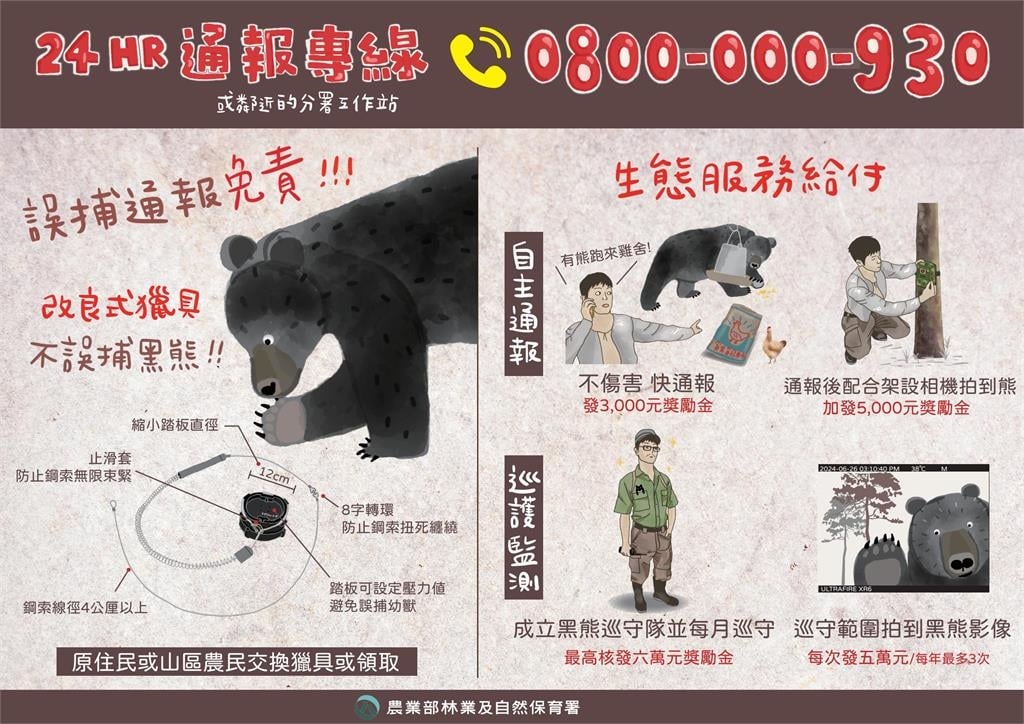 快新聞／台灣黑熊現蹤！宜蘭林道直擊身影　防熊措施一次看