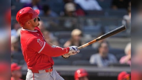 MLB(影)／這隻鱒魚天天吃雞！「神鱒」連4天洋基主場炸裂成史上第一人