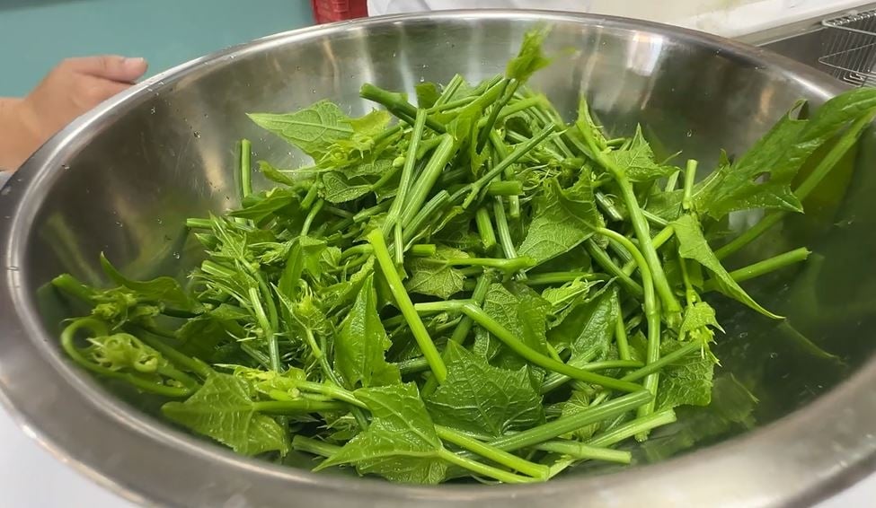 鹽水雞其實熱量超低？專家推「2食材」排油又改善脂肪肝！