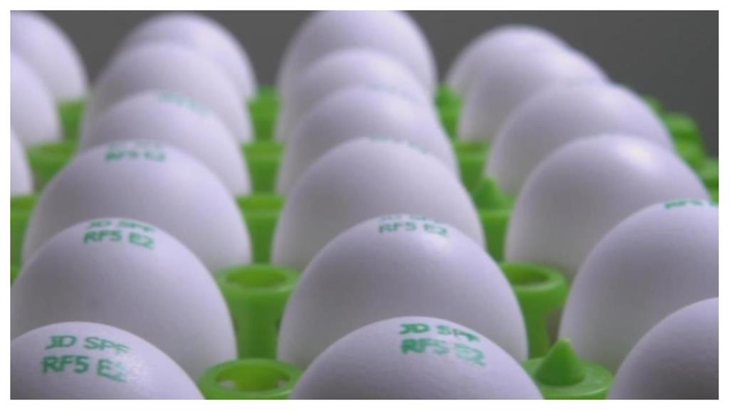 早餐店業者喊「加蛋20元」心安理得！1關鍵被砲到刪文網酸：我自己煎