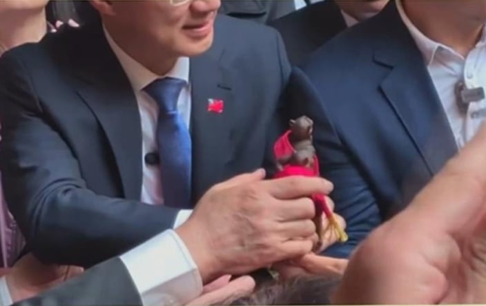 大甲媽起駕千里眼墜地！易經專家點破「幽靈船現身」示警：恐大事發生