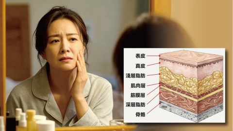 體重變化後外觀改變?醫師帶你認識臉部脂肪分布與輪廓變化