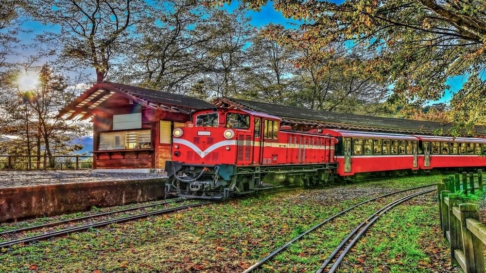 情緒管理受關注：森林療癒與綠色環境帶來身心調適新趨勢