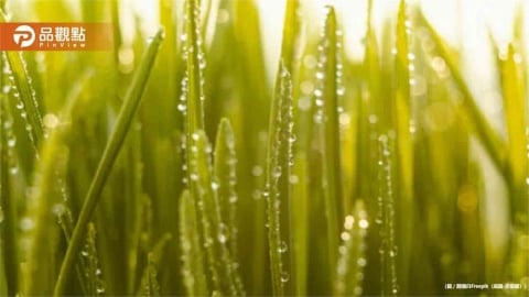 今「穀雨」財運爆發！5星座、5生肖馬上就要發財了