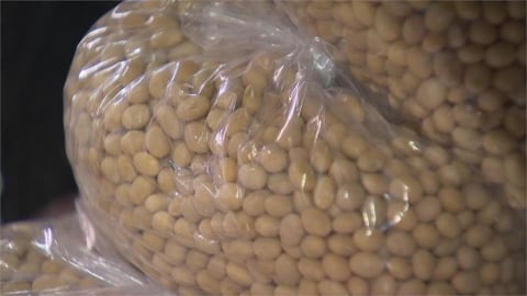 街口投信：中國與巴西供應鏈持續強化　需求偏緊難撐美國黃豆價格上行