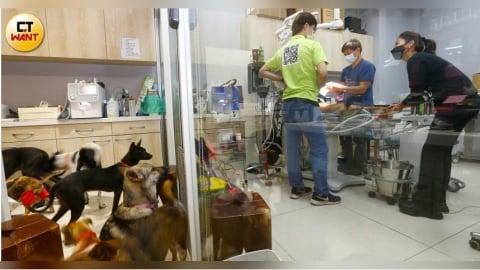 毛孩藥翻盤1／寵物用藥新制急煞車　專家批正面表列窄化治療路