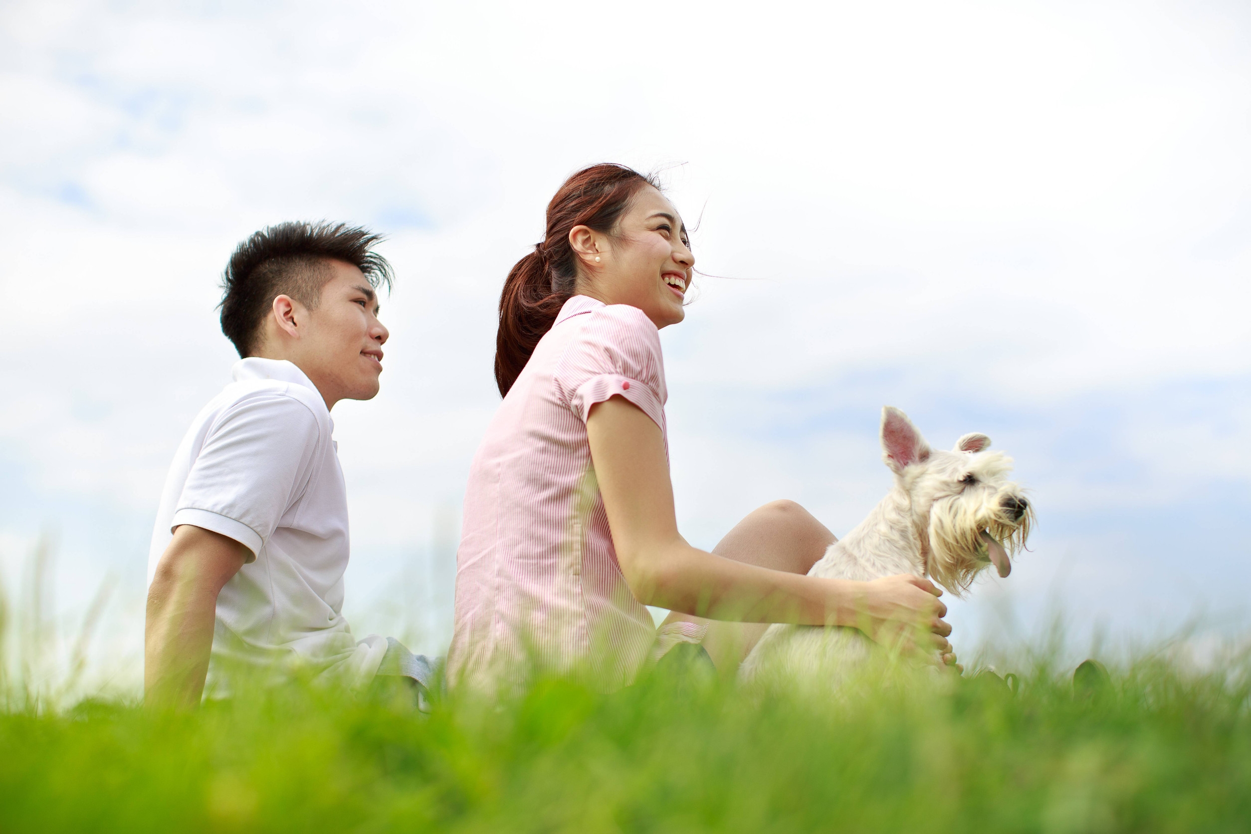 同齡或差三歲以內，這種組合最棒的地方在於「零代溝」。兩人可以一起打電動、一起遛狗，生活步調高度同步。圖/123RF圖庫