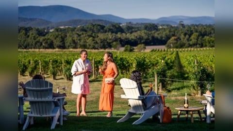 一次收藏墨爾本的紅酒、楓葉與雪山　華航每週獨家直飛開啟逍遙自駕旅程