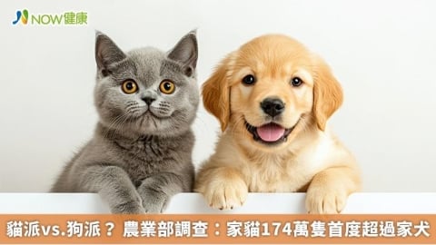 貓派vs.狗派？ 農業部調查：家貓174萬隻首度超過家犬